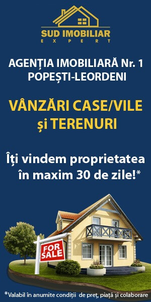 vanzari vile popesti leordeni